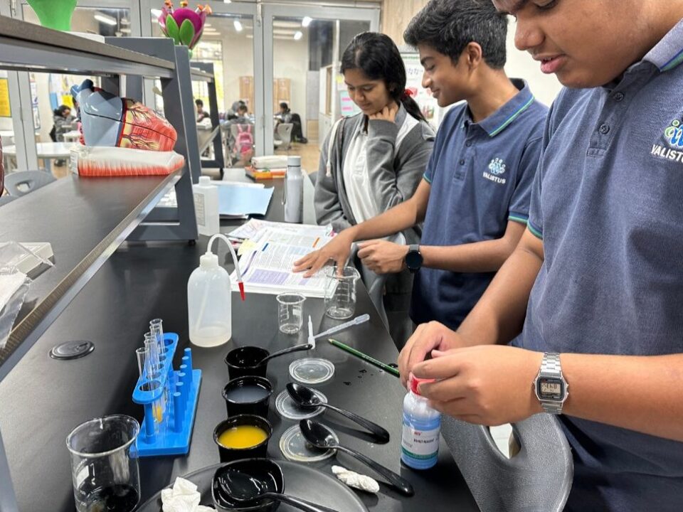 Valistus International School