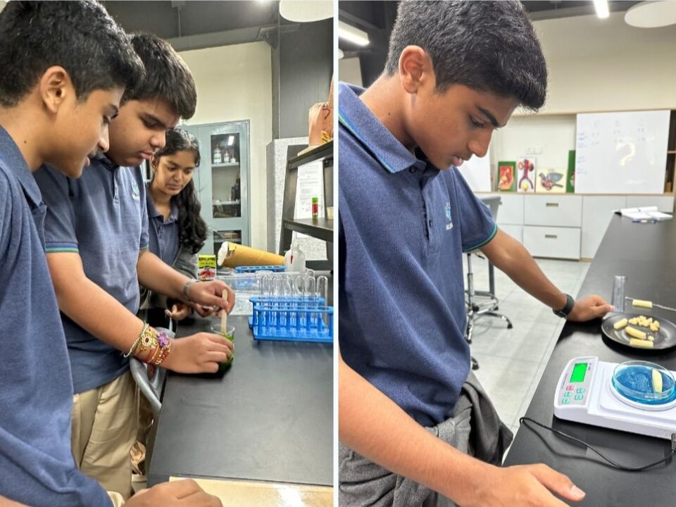 Valistus International School