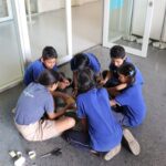 Valistus International School