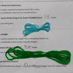 Valistus International School whitefield bangalore