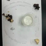 Valistus International School whitefield bangalore