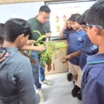 Valistus International School