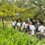 Valistus International School whitefield bangalore