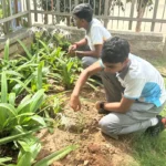 Valistus International School whitefield bangalore