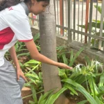 Valistus International School whitefield bangalore