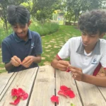 Valistus International School whitefield bangalore