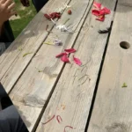 Valistus International School whitefield bangalore