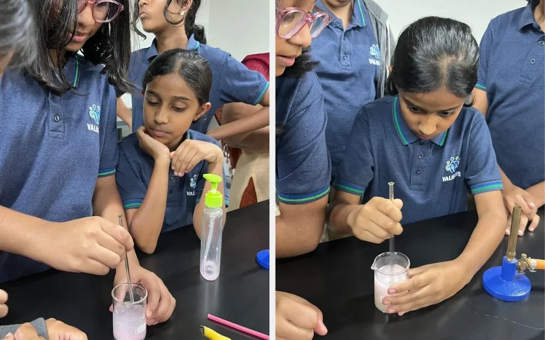 Valistus International School whitefield bangalore