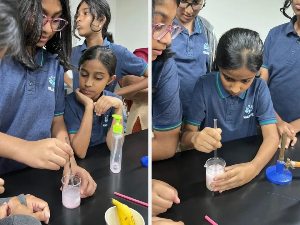 Valistus International School whitefield bangalore