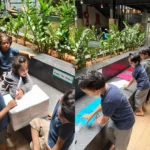 International curriculum school near Whitefield